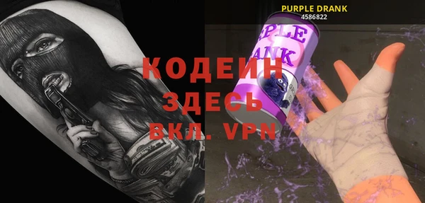 ГАЛЛЮЦИНОГЕННЫЕ ГРИБЫ Богданович