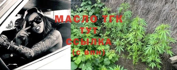 ГАЛЛЮЦИНОГЕННЫЕ ГРИБЫ Богданович