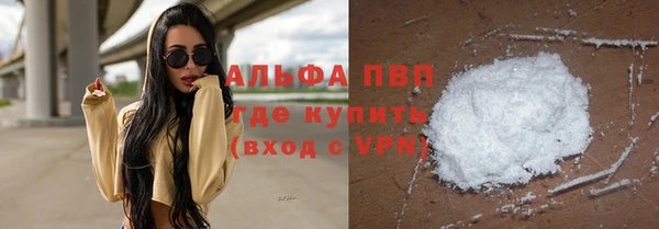 сатива Богородицк