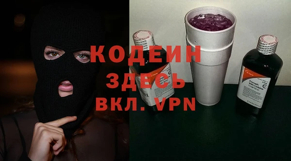 ГАЛЛЮЦИНОГЕННЫЕ ГРИБЫ Богданович
