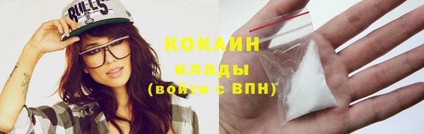 ГАЛЛЮЦИНОГЕННЫЕ ГРИБЫ Богданович