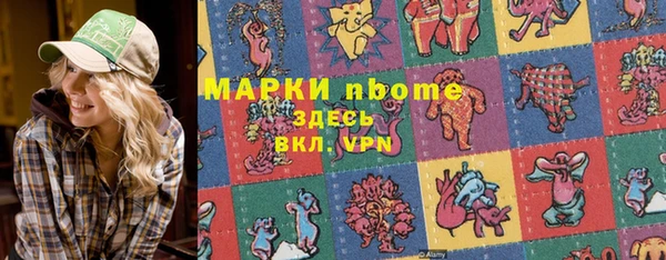 шишки Богородск