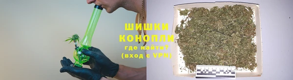 сатива Богородицк