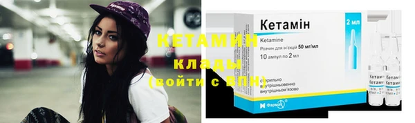 ГАЛЛЮЦИНОГЕННЫЕ ГРИБЫ Богданович