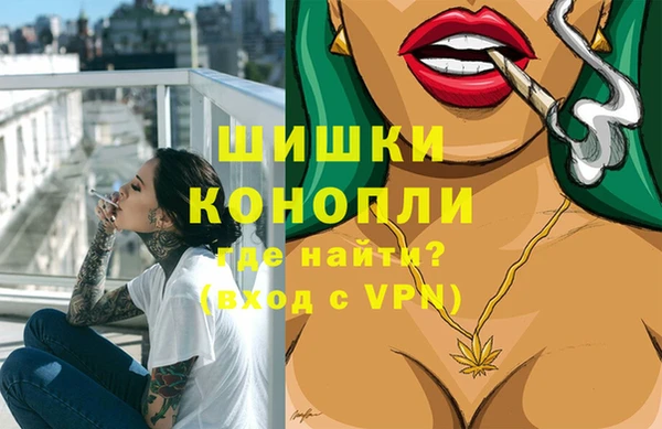 ГАЛЛЮЦИНОГЕННЫЕ ГРИБЫ Богданович