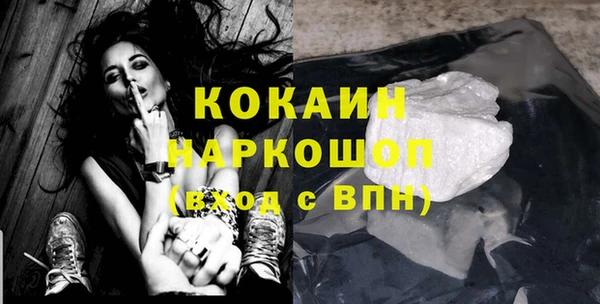 ГАЛЛЮЦИНОГЕННЫЕ ГРИБЫ Богданович