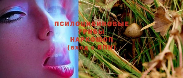 шишки Богородск