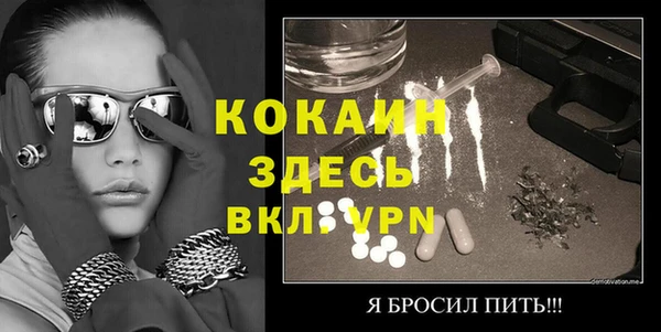 ГАЛЛЮЦИНОГЕННЫЕ ГРИБЫ Богданович