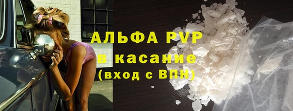сатива Богородицк
